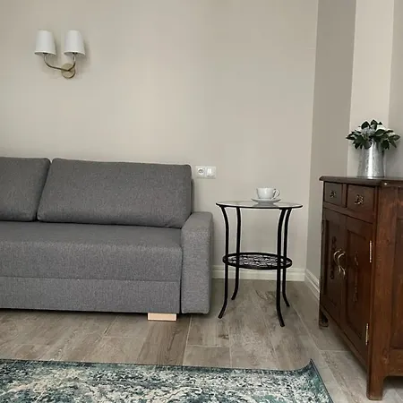 Apartment Starowislna Center *