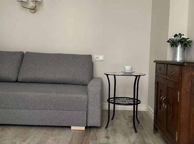 Apartmán Starowislna Center *